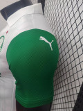 25/26  Palmeiras Away  Player Version Soccer Jersey