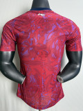 25/26 Costa Rica Home Player Version Soccer Jersey