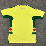 2024 Wales Away Fans Soccer Jersey