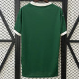 25/26  Palmeiras Home Fans Soccer Jersey