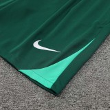 24/25 Portugal Green Training Shorts Pants