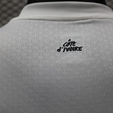 24/25 Cote d'Ivoire Away Player Version Soccer Jersey