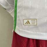 24/25 Italy Away Long Sleeve Player Version Soccer Jersey(长袖)