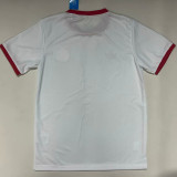 25/26 Benfica Anniversary Edition White  Fans Soccer Jersey