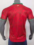 25/26 Portugal Red Grid Special Edition Fans Soccer Jersey