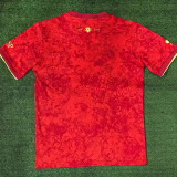 2024 Spain Red Special Edition Fans Soccer Jersey