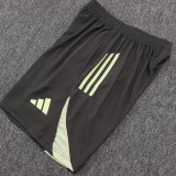 25/26  RMA Grey Player Version Training Short Suit