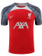 24/25  LIV Red Gray Shoulder  Training Shirts(红色灰肩）