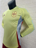 2024 Spain Away  Long Sleeve Player Version Soccer Jersey(长袖)