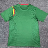 24/25 Cameroon Home Fans Soccer Jersey