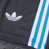 23/24  Argentina Grey Training Short Suit