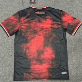 24/25 Sao Paulo Third Fans Soccer Jersey