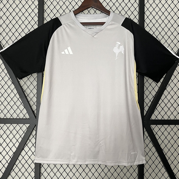 24/25 Atletico Mineiro Grey Training shirts