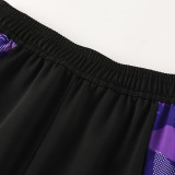 24/25  Germany Purple Jacket Tracksuit(02)