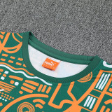26/27 Cote d'Ivoire Green Training Shorts Suit