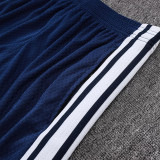 25/26 AD Royal Blue Player Version Training Short Suit#D2506