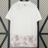 24/25  Lille Away Fans Soccer Jersey