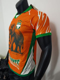 25/26 Cote d'Ivoire Orange Special Edition Player Version Soccer Jersey