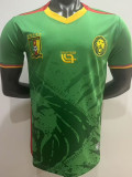 25/26 Cameroon Home Fans Soccer Jersey