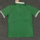 24/25 Nigeria Home Fans Soccer Jersey
