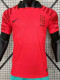 22/23 Korea Home World Cup  Player Version Soccer Jersey