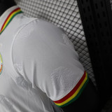 24/25 Senegal White Special Edition Player Version Soccer Jersey（带一星）