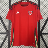 2024 Wales Home Fans Soccer Jersey