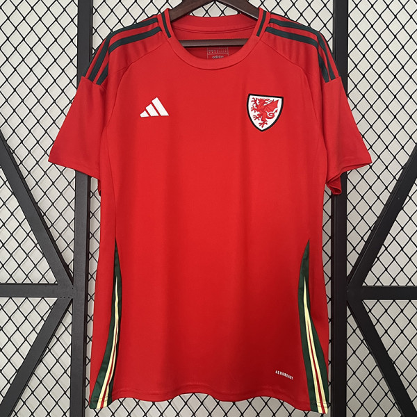 2024 Wales Home Fans Soccer Jersey
