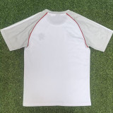 25/26 Lyon White Training shirts