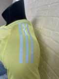 2024 Spain Away  Long Sleeve Player Version Soccer Jersey(长袖)