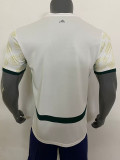 24/25 Cote d'Ivoire Away Fans Soccer Jersey