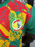 24/25 Senegal Green Puzzle Player Version Training Shirts