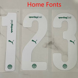 25/26  Palmeiras Home Fans Soccer Jersey