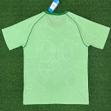 25/26 Celtic Origin Edition Green Fans Soccer Jersey