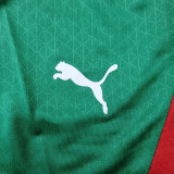 24/25  Algerian （MCA ）Green  Player Version  Kids Soccer Jersey(阿尔及利亚MCA俱乐部童装)