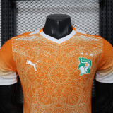 26/27 Cote d'Ivoire Special Edition Orange Player Version Soccer Jersey