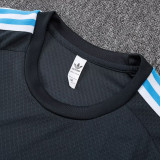 25/26  Argentina Grey Training Short Suit#D2559