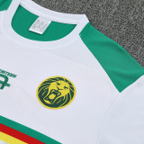 25/26  Cameroon White Training Short Suit