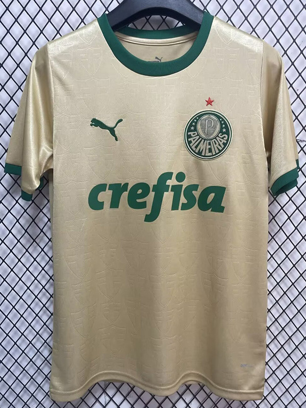 24/25 Palmeiras Third Fans Soccer Jersey
