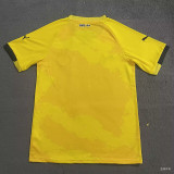 24/25 Dortmund Yellow Training Shirts