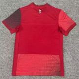 2024 Poland Away  Fans Soccer Jersey