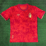 2024 Spain Red Special Edition Fans Soccer Jersey