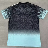 25/26 LIV Blue Eagle's head  Fans Training Shirtsa蓝鹰