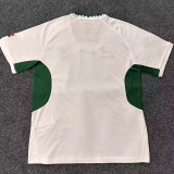 25/26 South Africa Away Fans Soccer Jersey