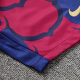 24/25  BAR Red&Blue Training Short Suit