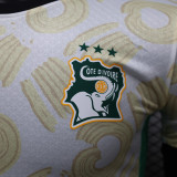 24/25 Cote d'Ivoire Away Player Version Soccer Jersey