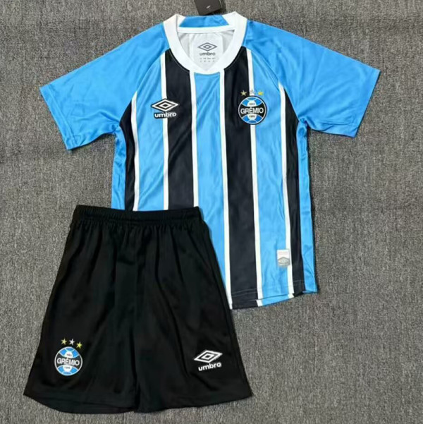 25/26 Gremio Home Fans Soccer Jersey