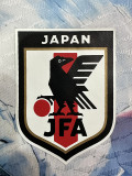 25/26 Japan Taiyi Zhenren Special Edition Player Version  Soccer Jersey