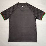 25/26 Palestino Deportivo Grey Black Fans Soccer Jersey