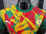 24/25 Senegal Green Puzzle Player Version Training Shirts